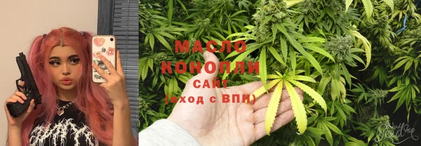 гидра Бородино