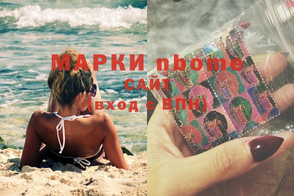 гидра Бородино