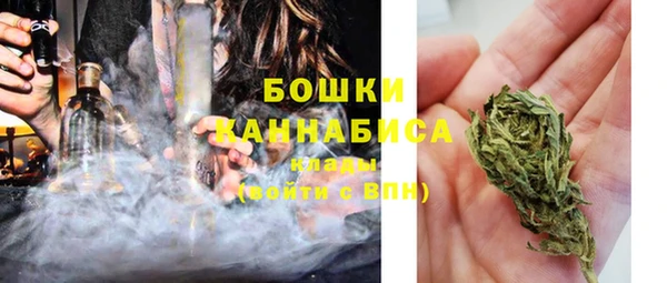 гидра Бородино