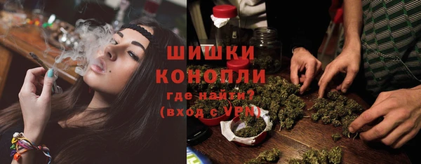 гидра Бородино