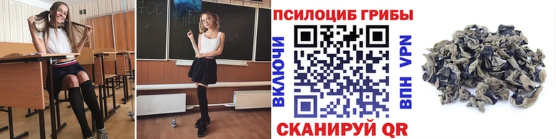 как найти закладки  Мытищи  Псилоцибиновые грибы Magic Shrooms 