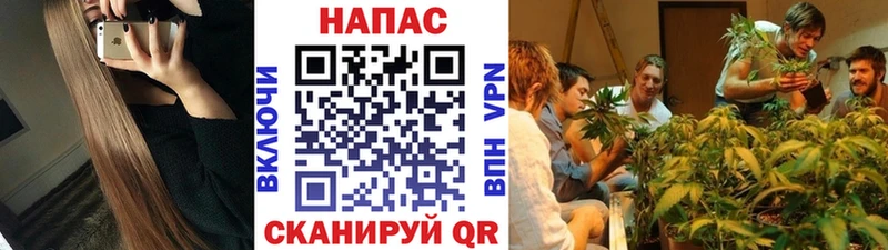 Бошки марихуана MAZAR  купить  цена  Мытищи 